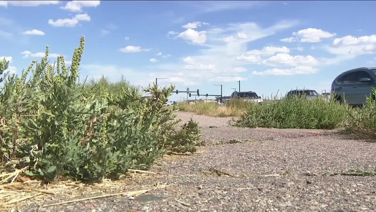 Debate over solutions for Denver sidewalks front and center once again