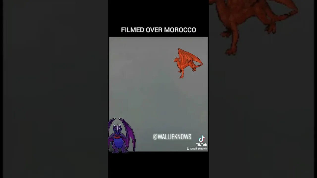 Dragon in the sky in Marocco