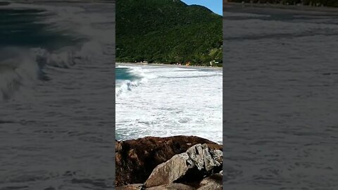 #shorts #floripa #praia #dialindo