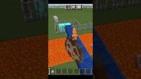 What is the IQ of wolf(dog) and fox || #shorts #minecraftpe 🐕😅