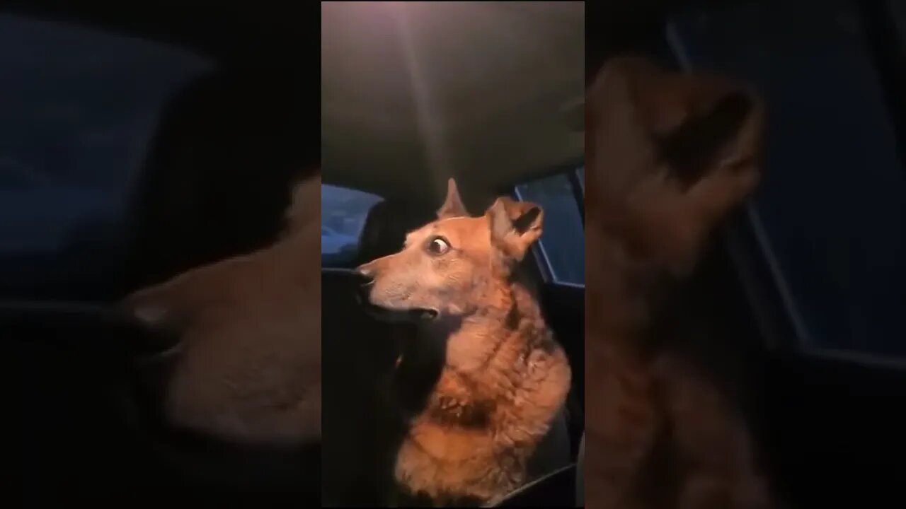 "I hope she's not talking about me"