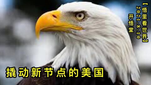 KWT2245撬动新节点的美国20210810-10【悟里看世界】