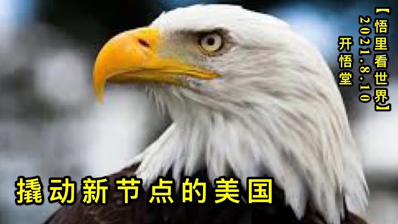 KWT2245撬动新节点的美国20210810-10【悟里看世界】