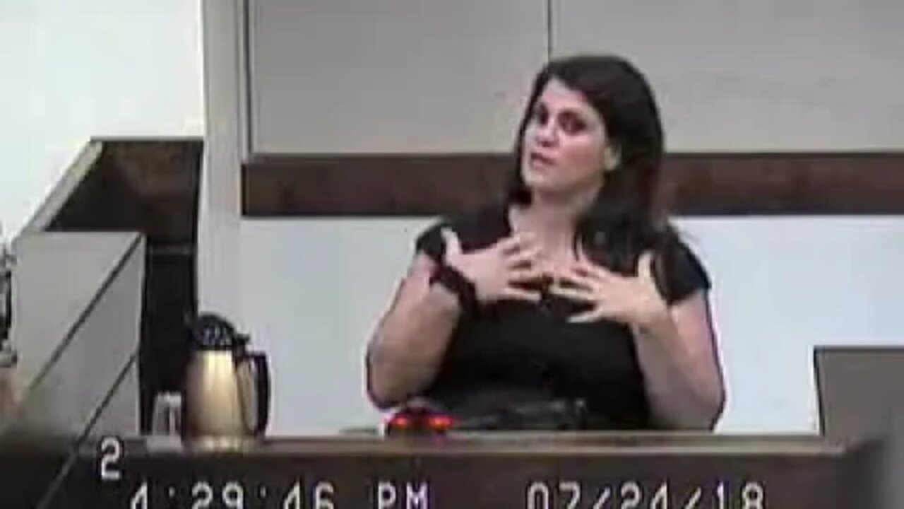 Norcutt matter before Clark County Family Court Judge Cheryl Moss 7.24.18 5-7