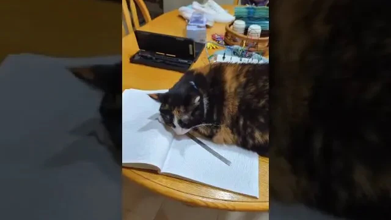 I suspect she does not care.