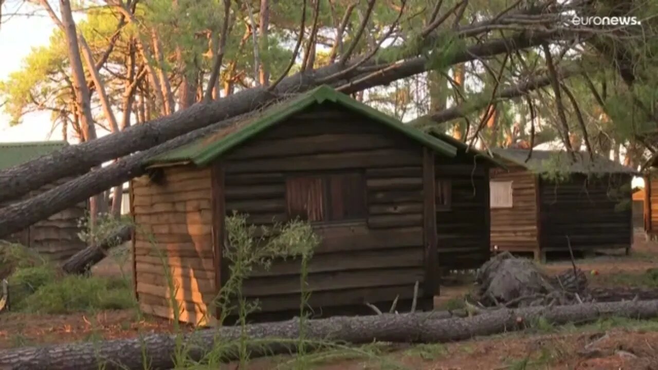 Death toll from 'hellish' European storms climbs to 14, most from falling trees