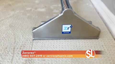 Zerorez® helps get rid of pet accidents and odors
