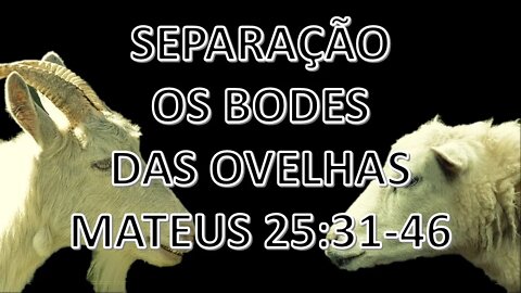 SEPARAÇÃO OS BODES DAS OVELHAS MATEUS 25: 31 -46