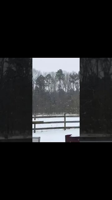 Snow Coming Down In Warren Arkansas