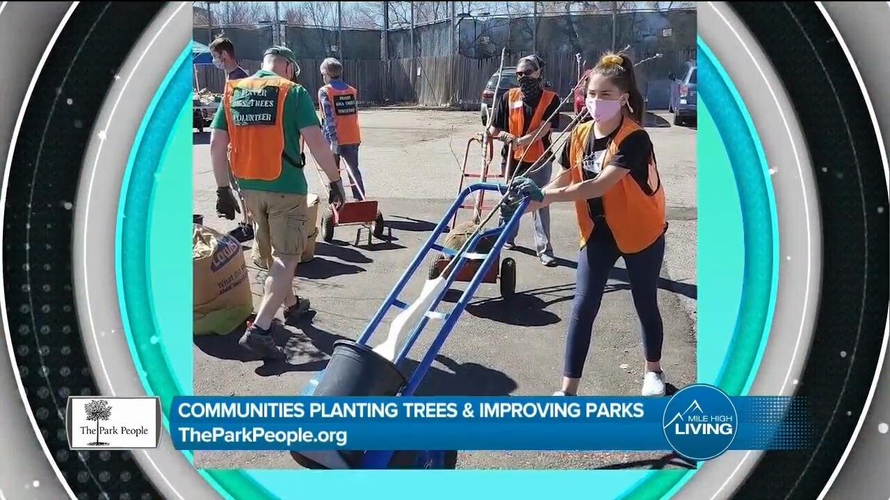 Plant Trees & Improve Parks // The Park People