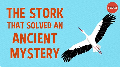 The Spear wielding stork who revolutionized Science