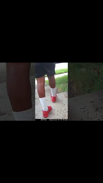 The Poor Amazon Man Thinks The Dried Bird Mealworms Are Maggots #Shorts 😬