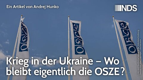 Krieg in der Ukraine – Wo bleibt eigentlich die OSZE? | Andrej Hunko | NDS-Podcast