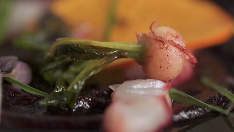 Striped Sea Bass Crudo by Chef Logan Kendall