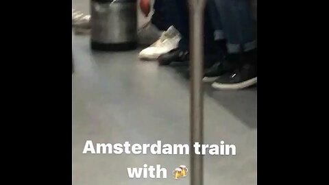 Amsterdam Train 🚂 Drinking