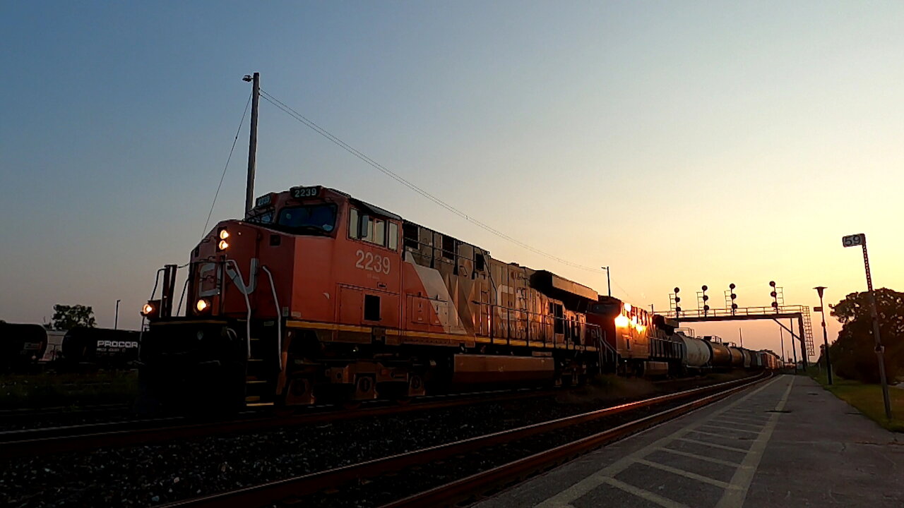 CN 2239 & CN 2819 Engine Manifest Train Eastbound In Ontario TRACK SIDE