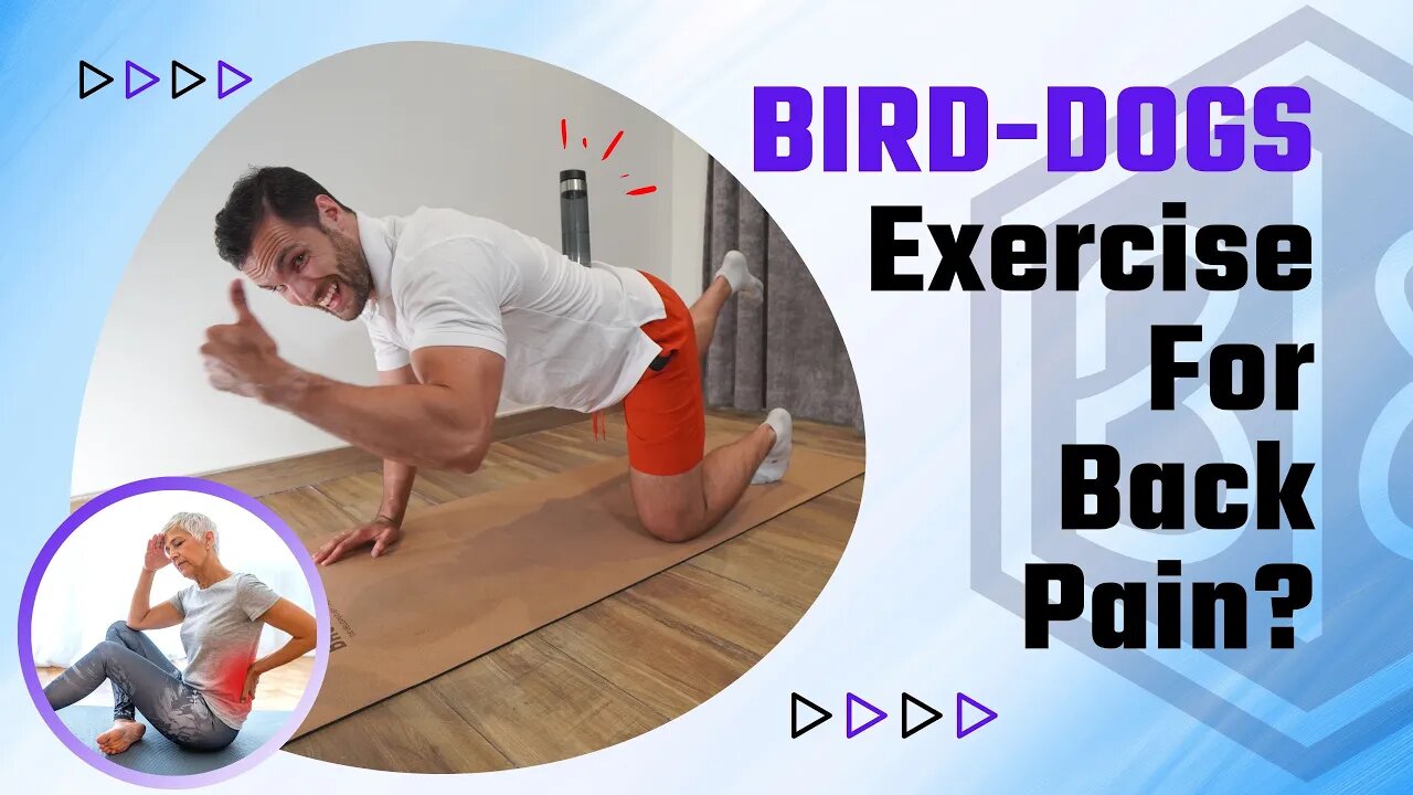 Is the Bird Dog A Good Exercise For Your Back Plus One Test!