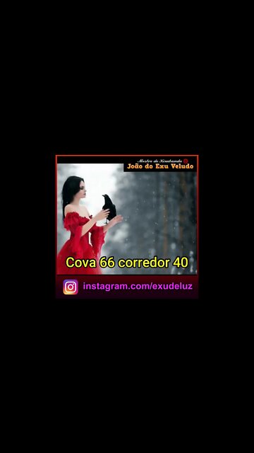 Maria Padilha Cova 66 corredor 40