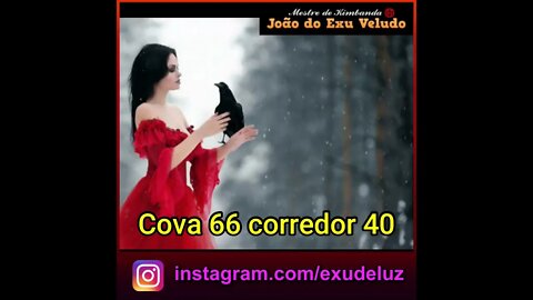 Maria Padilha Cova 66 corredor 40