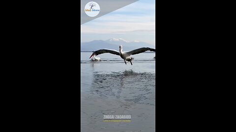 Perfect landing