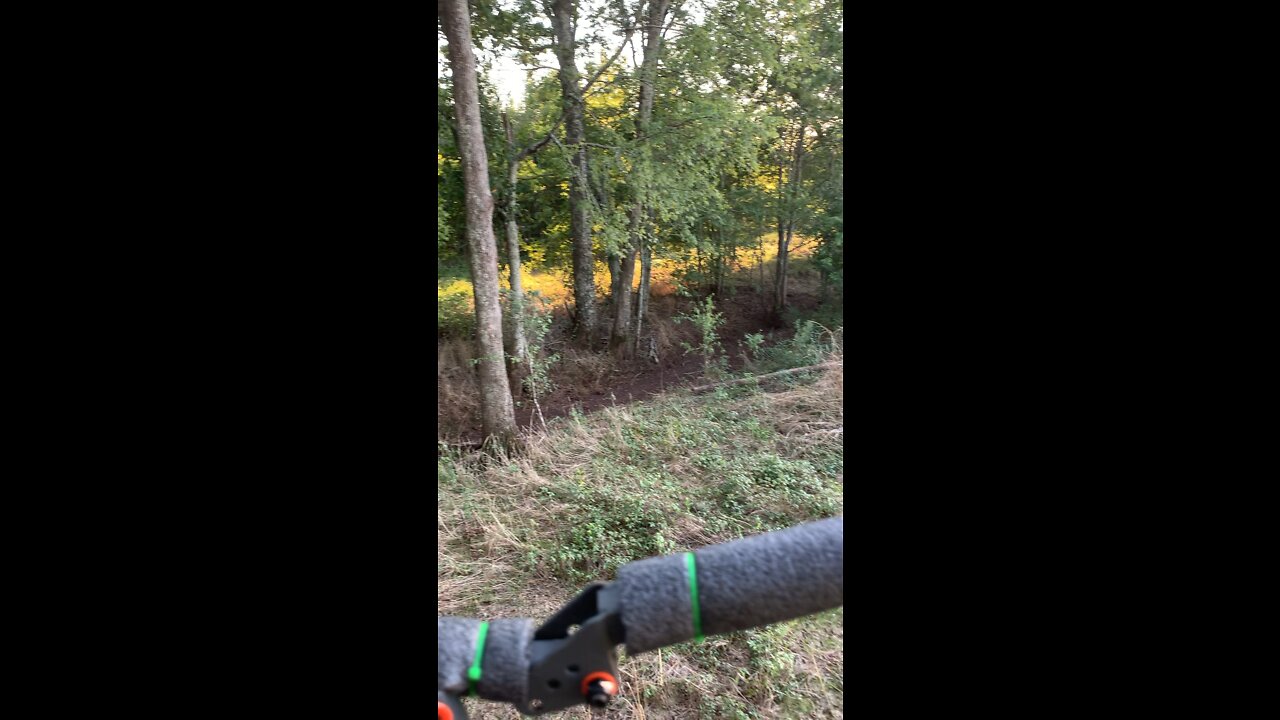 Deer hunt