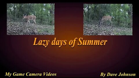 These are the Lazy days of Summer