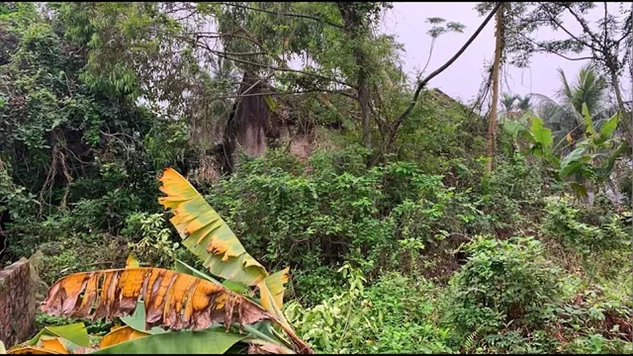 Clean up the horrible abandoned house | The people were angry with the owner of the abandoned house