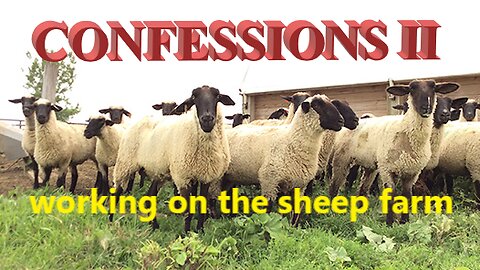 CONFESSIONS II working on the sheep farm