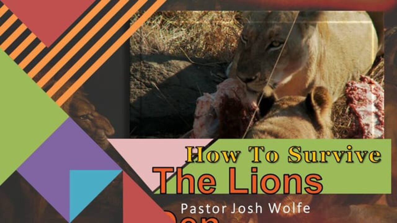 How To Survive The Lion's Den