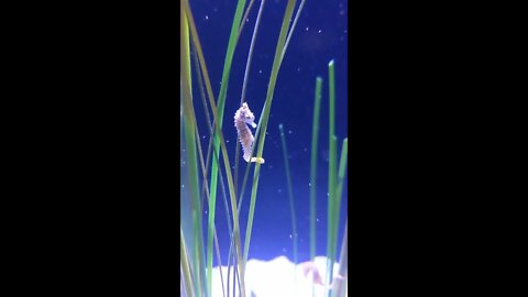I'll never for get this little guy