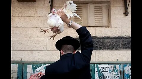 jew kapporos unsanitary cruel chicken slaughter ritual before yom kippur - where's PETA & ASPCA?