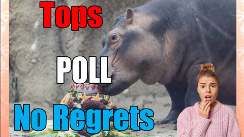 News of the Bizarre Cincinnati Zoo🦛 Tops Poll