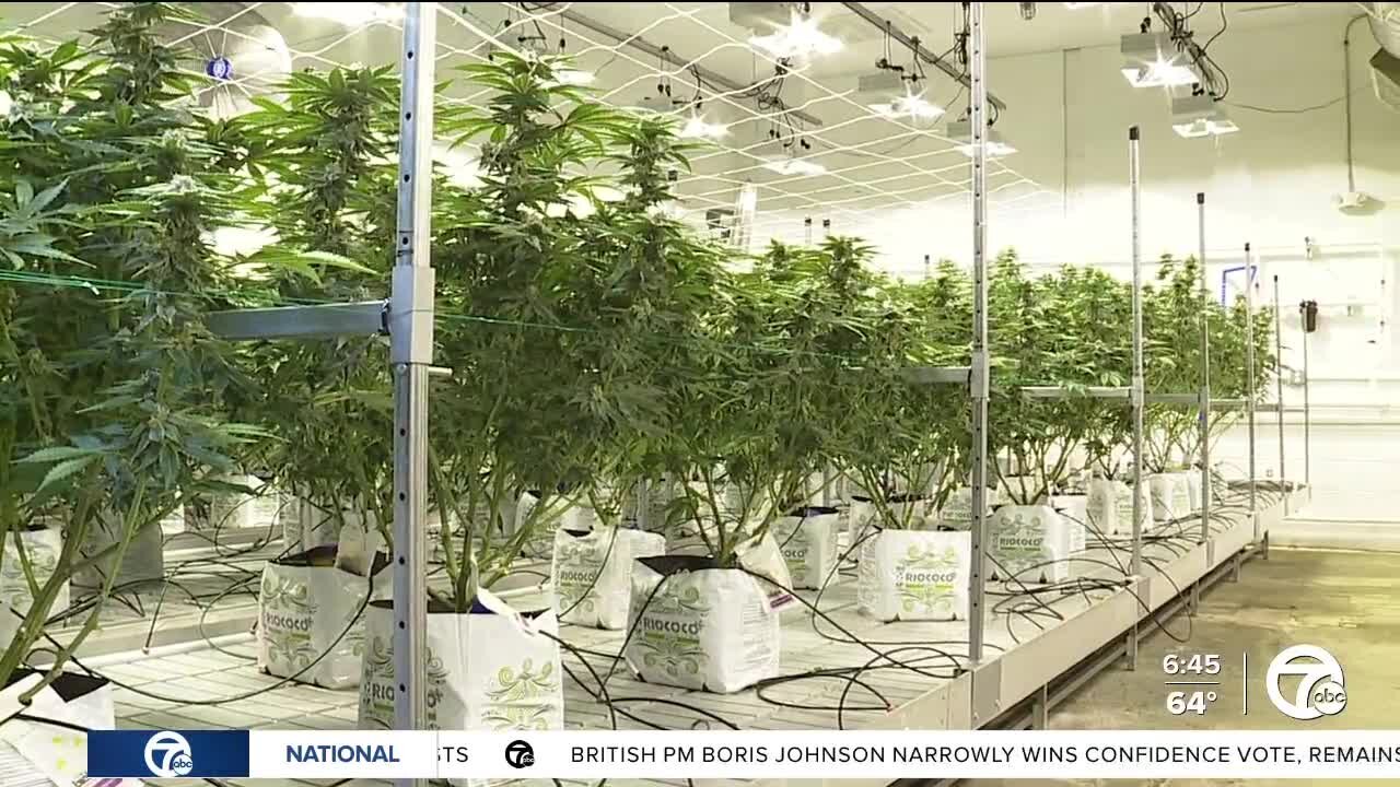 Detroit dispensary receives the city's first recreational marijuana license