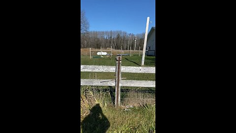 Stones on the fence posts