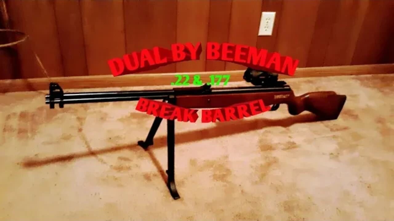 Beeman Dual double barrel air rifle