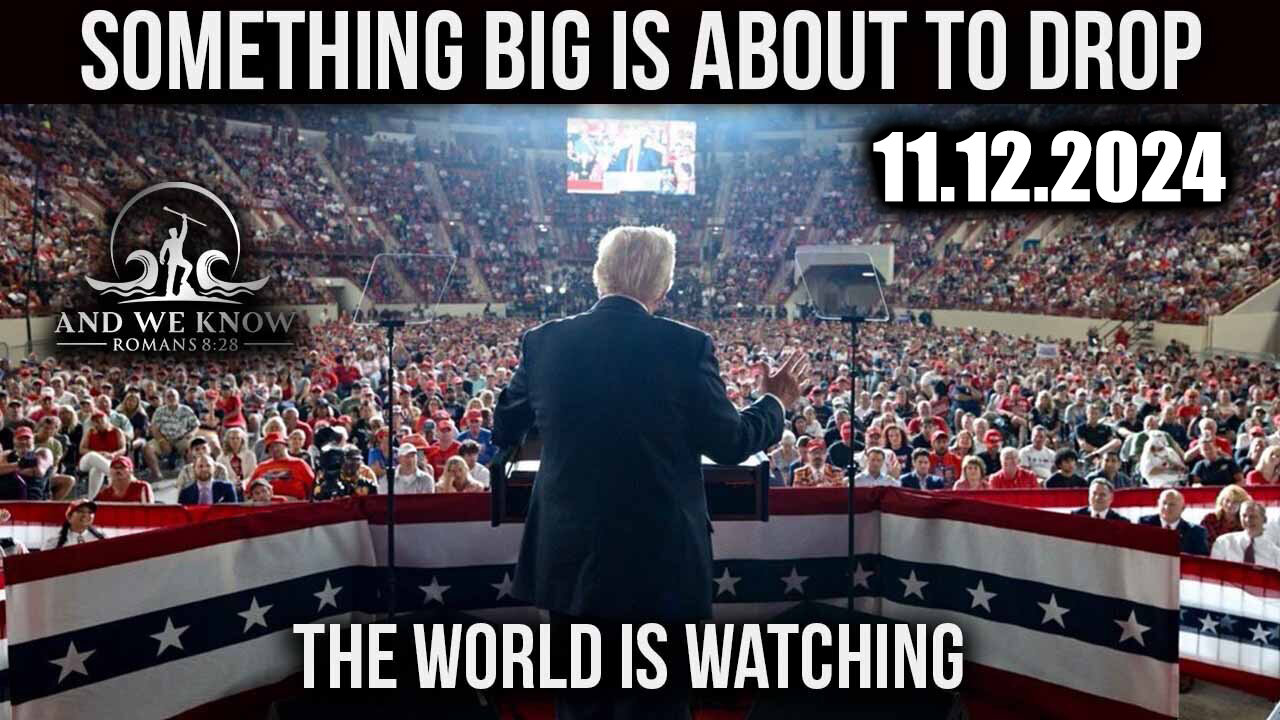 And We Know 11.12.2024: Trump Victory, Checkmate, Something Big is About to Drop