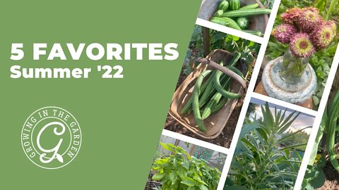 5 FAVORITE CROPS: Summer 2022