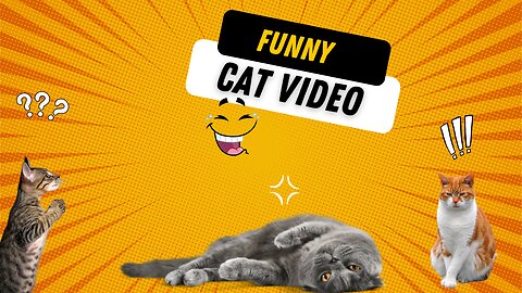 Beautiful Cat Videos That Will Instantly Boost Your Mood