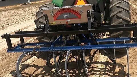 Planting sunflowers w/ a Wendell Drill mounted on a cultivator