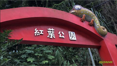 22_0205關子嶺 紅葉公園