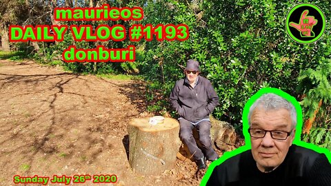 maurieos DAILY VLOG #1193 donburi