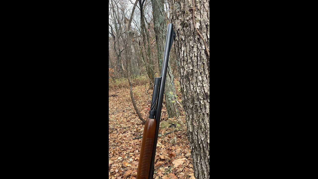 72 year old .35 Remington