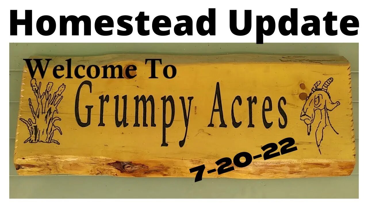 Homestead Update 7/20/22