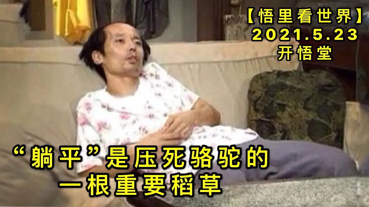 KWT1763“躺平”是压死骆驼的一根重要稻草20210523-8【悟里看世界】