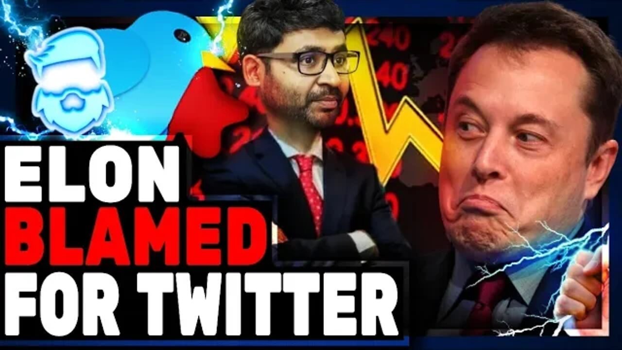 Twitter Revenue Collapses As Elon Musk Gets Blamed! Social Media Reckoning Is Happening!