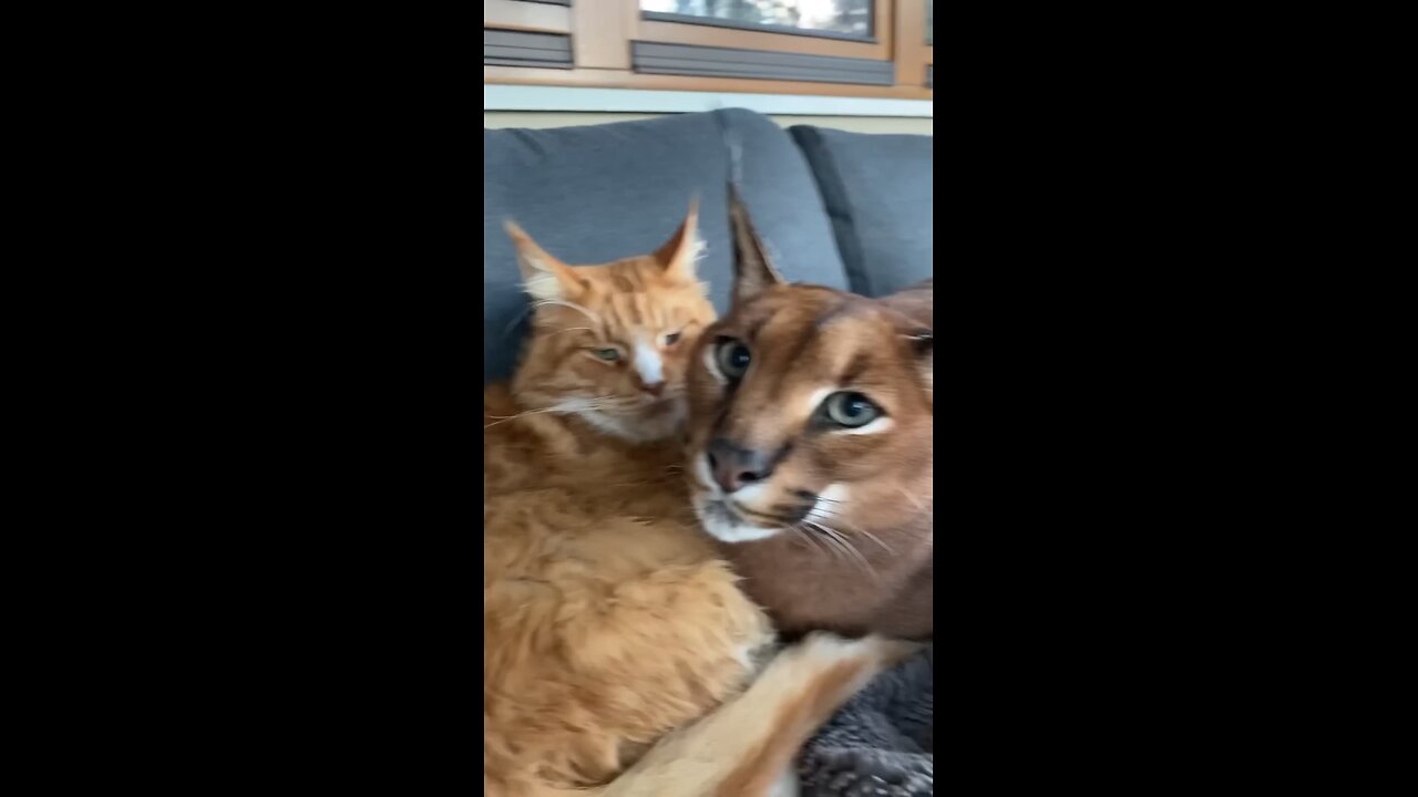 can We gate some privacy hooman?