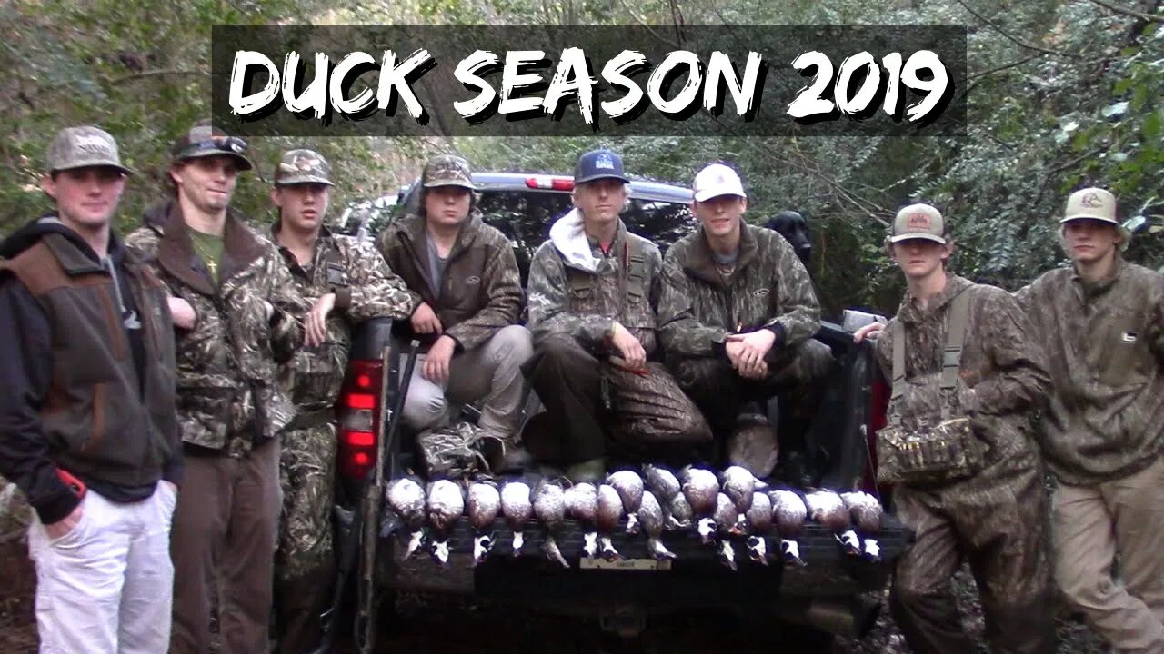 Duck Season 2019 (South Georgia)