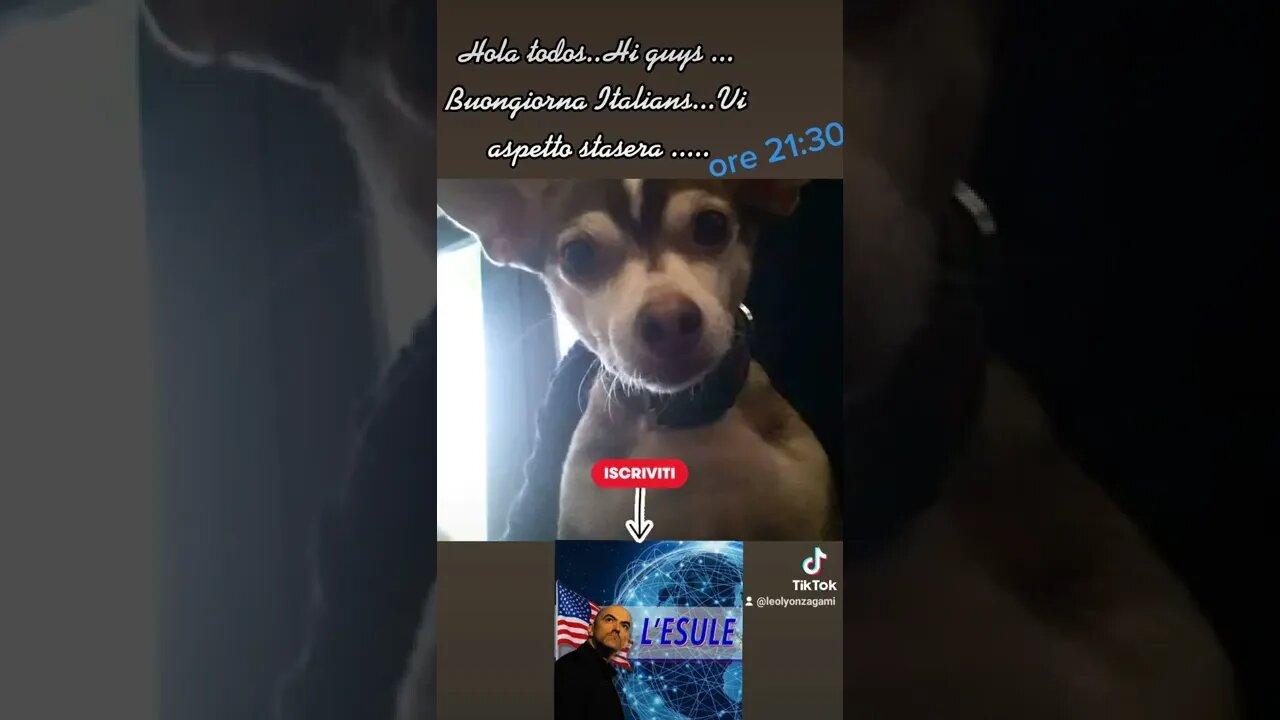 Hi guys .Buongiorna Italians...21:30 @ L'Esule. https://youtube.com/channel/UC3cSHiJOsa3z3zR2a6R2Z-A