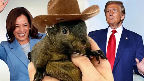 Does PEANUT the Squirrel Hold the KEY to the 2024 Election?