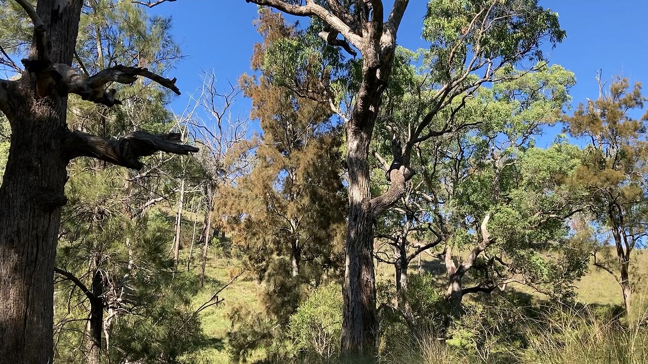 Relax and enjoy the view from my office